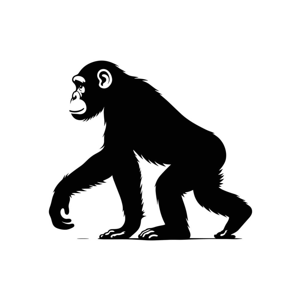silueta de un chimpance en vector, ingenioso gráfico representación vector