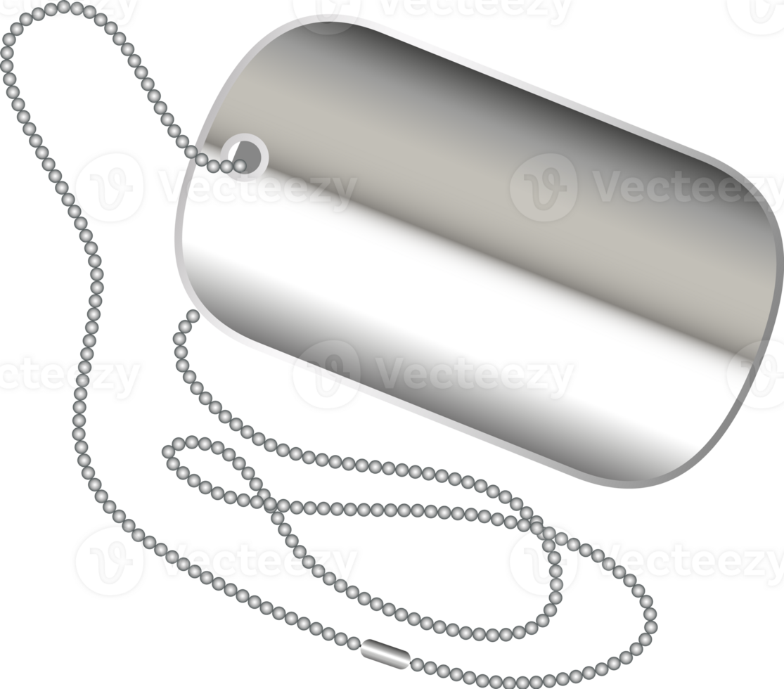Realistic metal dog tag and chain png