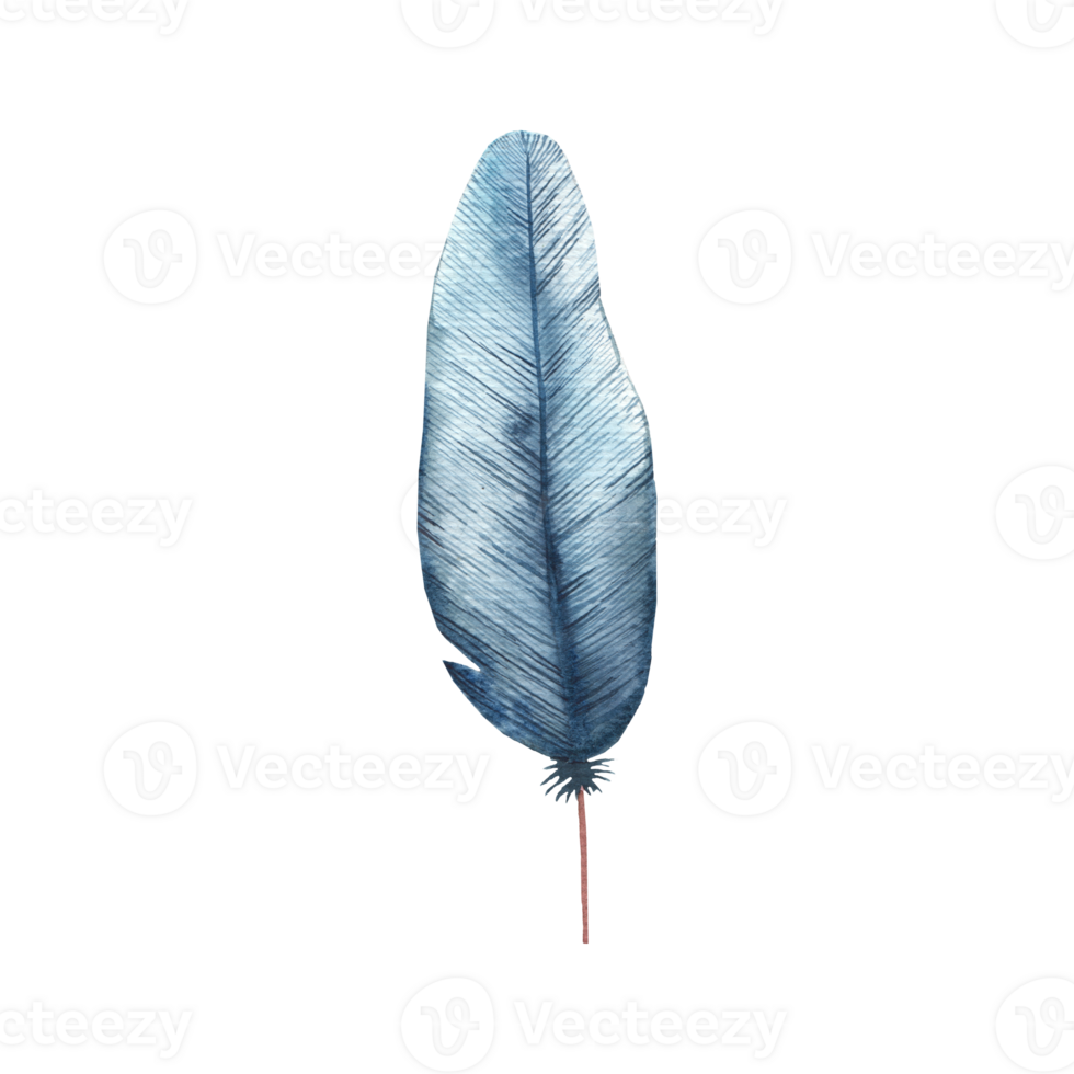 isolated feather illustration. Colorful colored feather png