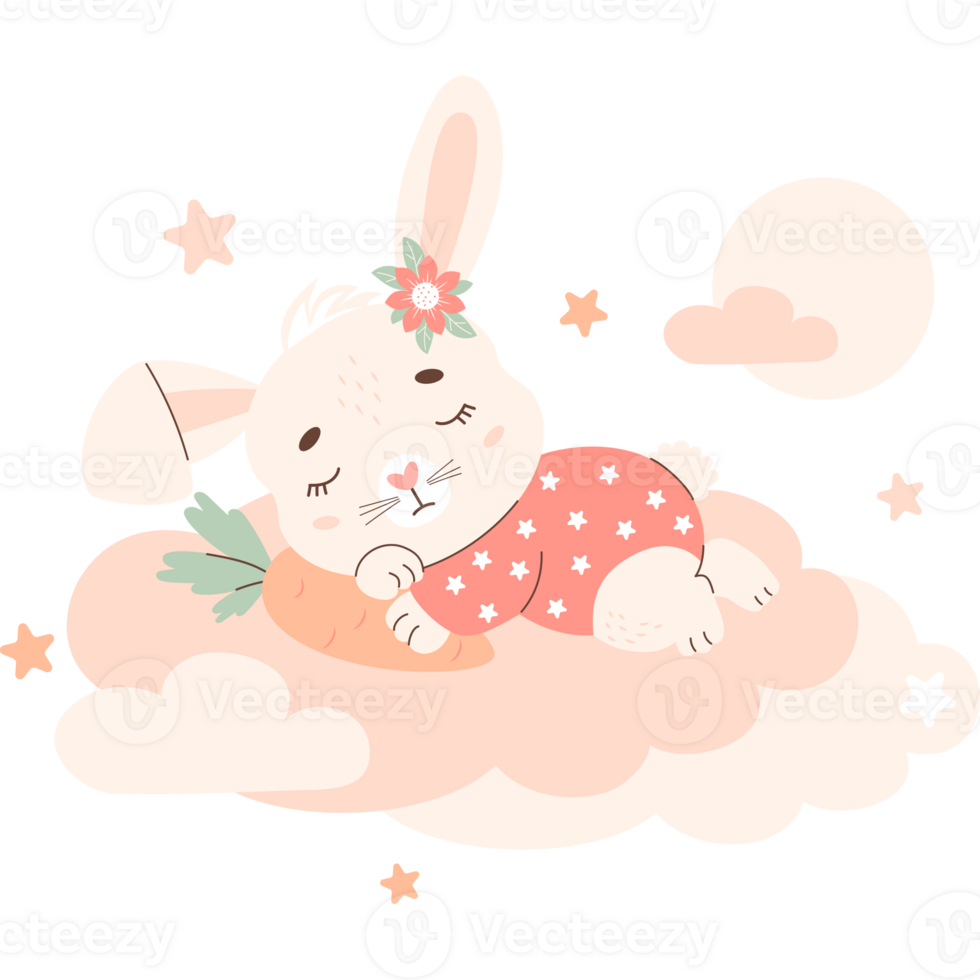 sleeping  bunny  on cloud png