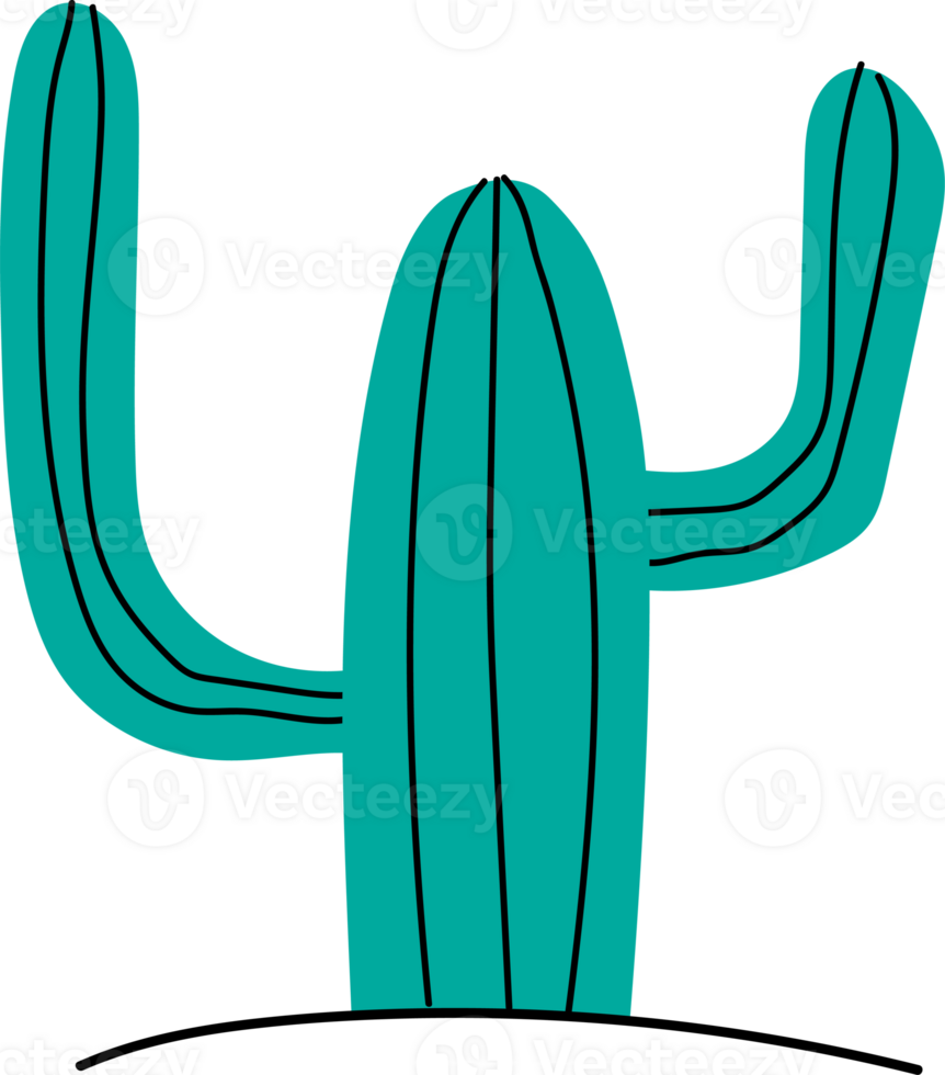 Cactus doodle illustration on transparent background. png