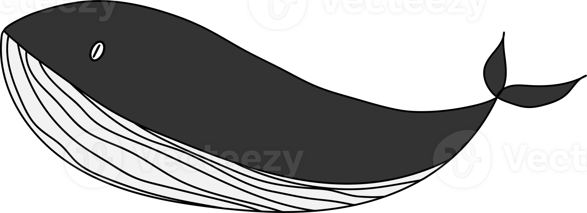 Cute whale cartoon illustration on transparent background. png