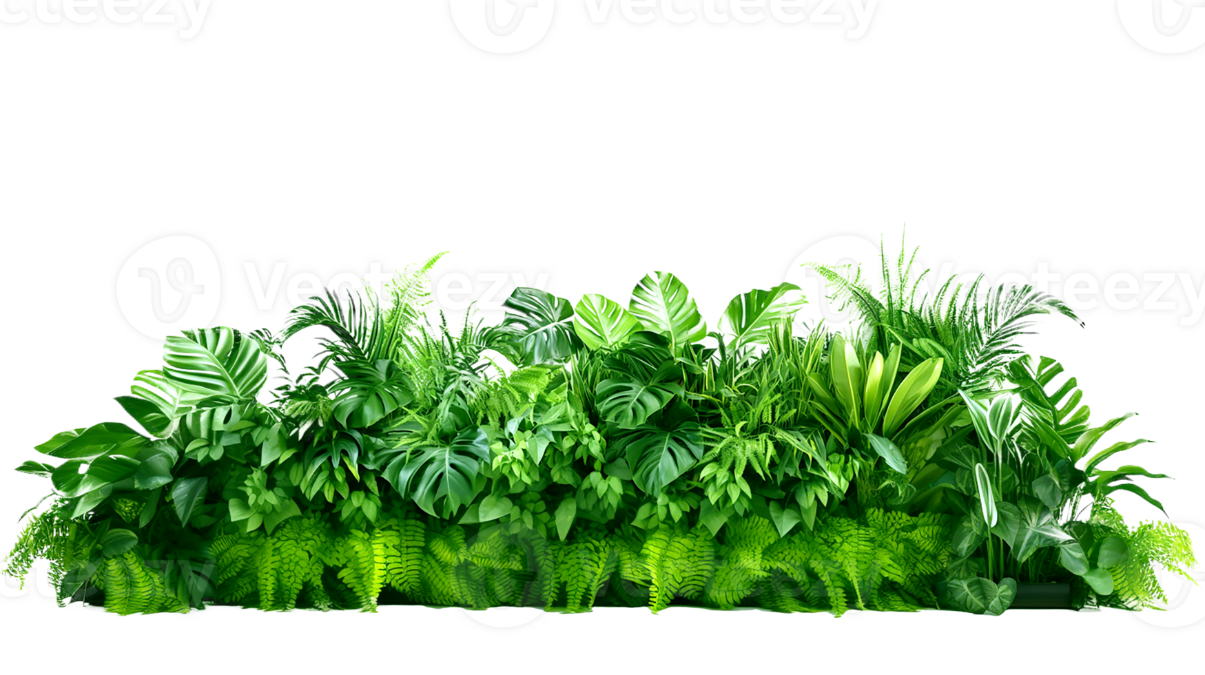 AI generated Green leaves of tropical plants bush floral arrangement indoors garden nature backdrop, transparency background png