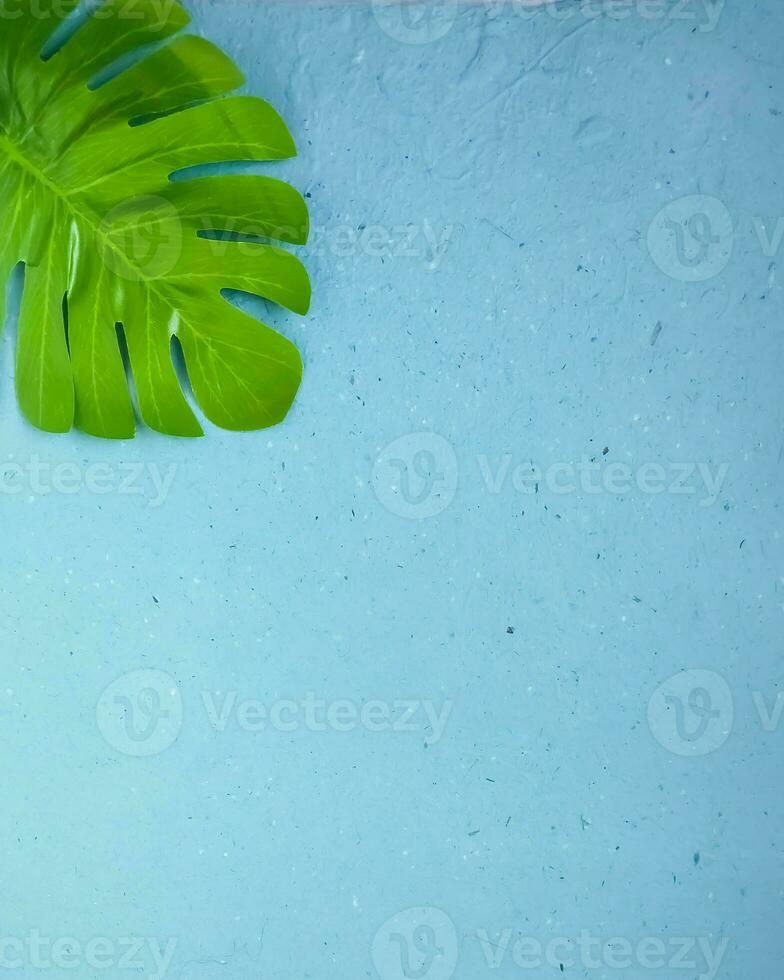 Tropical leaves on blue background. Flat lay, top view. photo