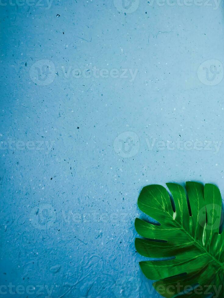 Colorful botanical on textured background with copy space photo