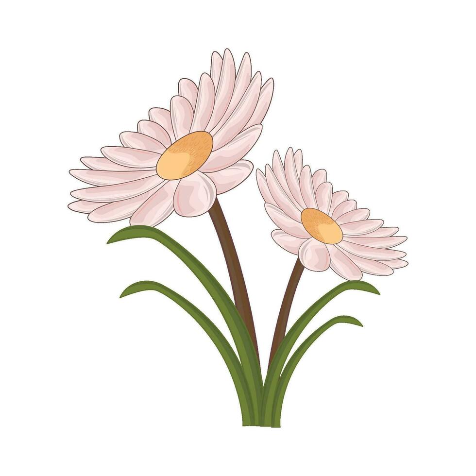 illustration of white flower vector