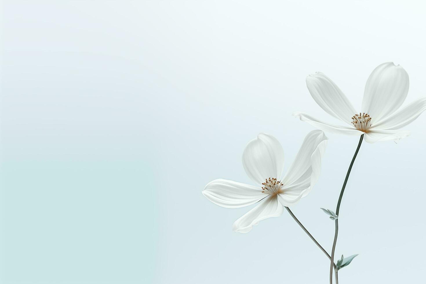 ai generado blanco flores en blanco antecedentes en mínimo estilo. foto