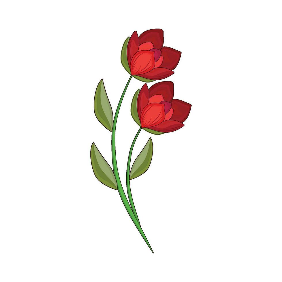 ilustración de tulipán flor vector