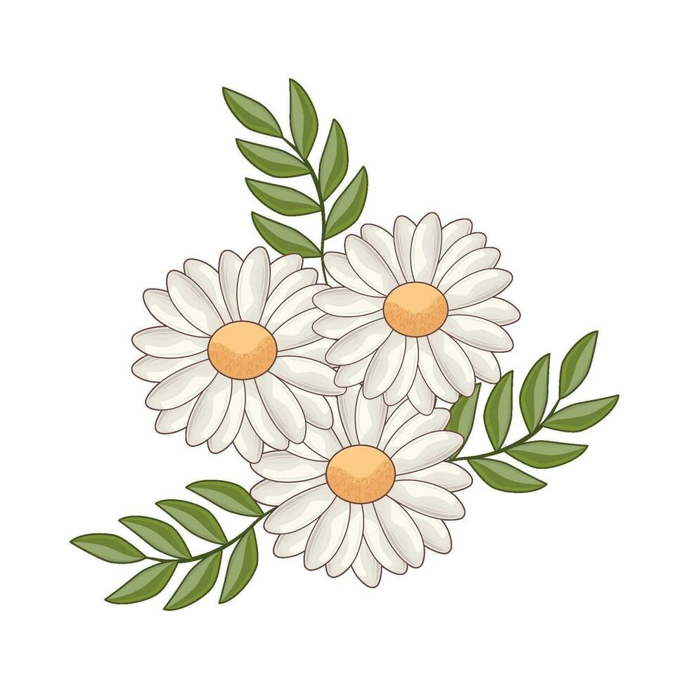 illustration of white flower vector