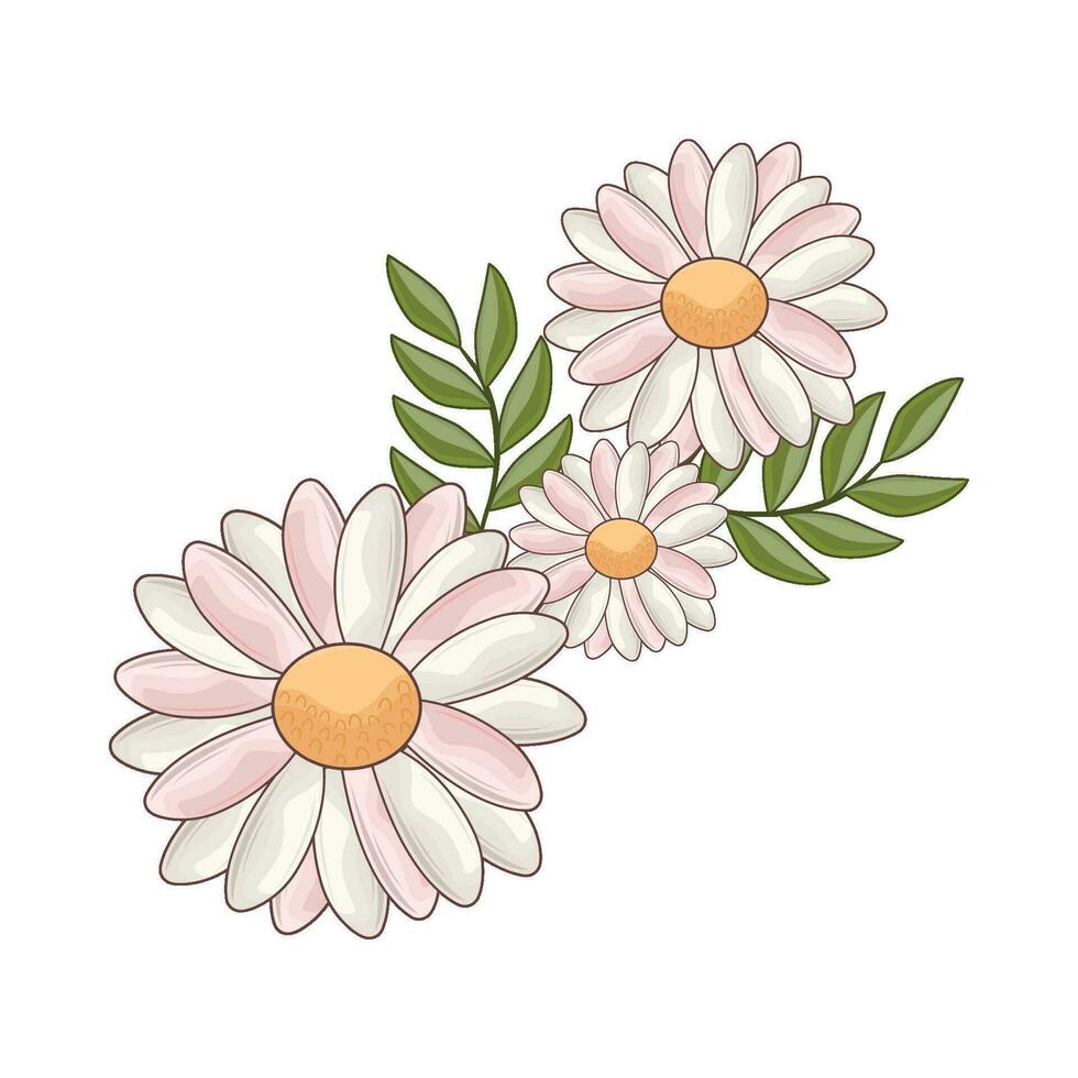 ilustración de blanco flor vector