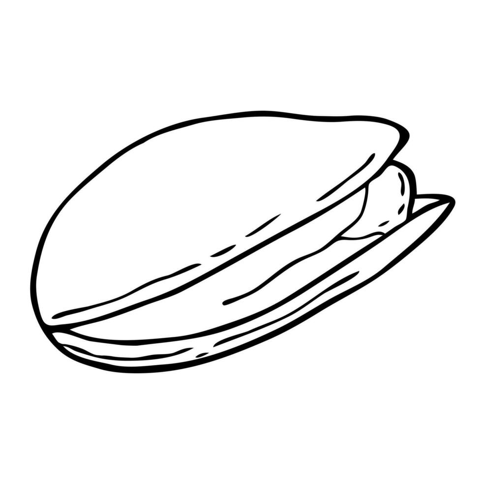 Pistachio contour doodle sketch hand drawn, isolated on white background. vector