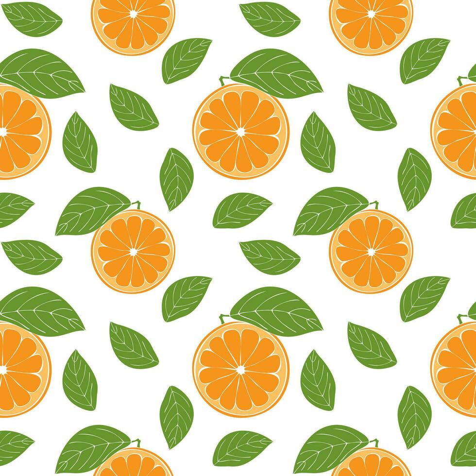 Orange fruit pattern, hand drawn orange fruit with green leaf on white background. vector