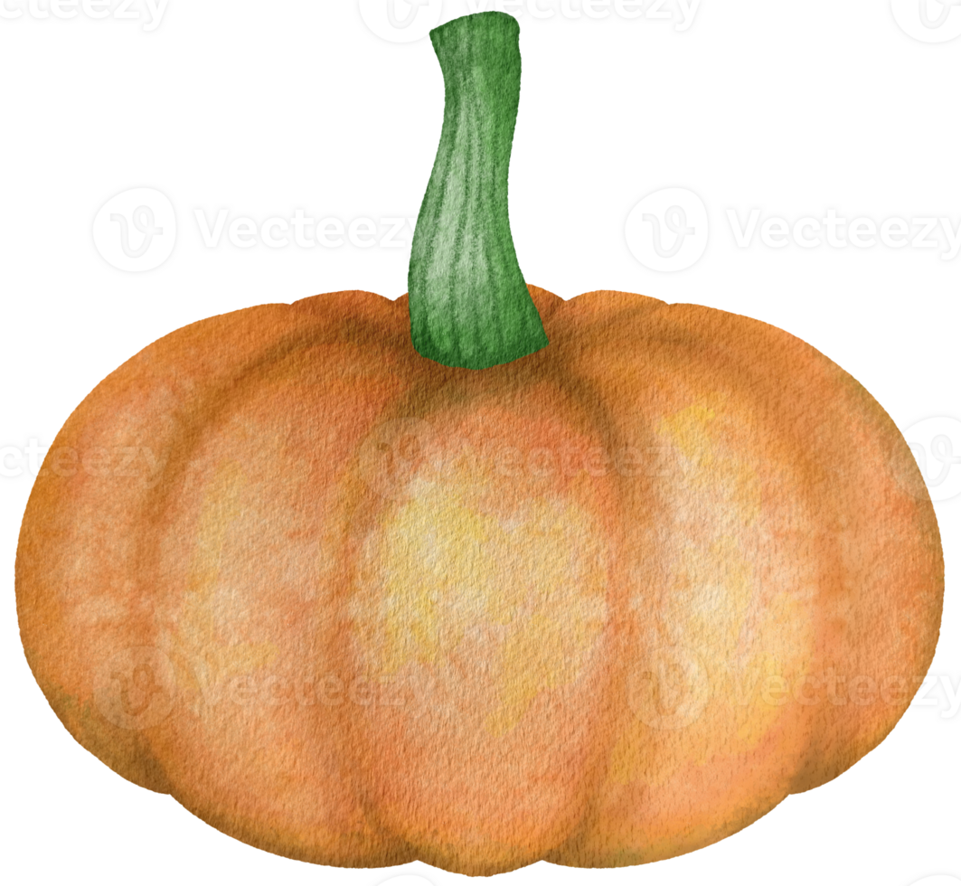 autumn-pumpkin-watercolor-35869685-png