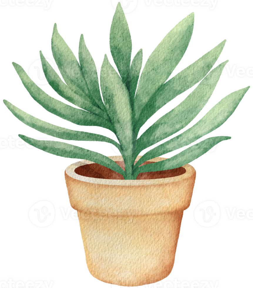 Autumn Plant watercolors png