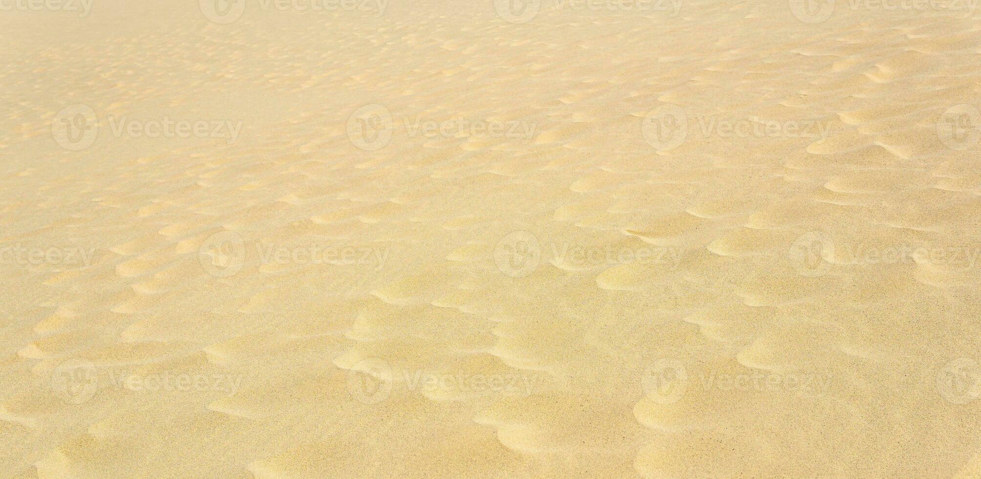 natural background, sandy desert surface with dunes photo