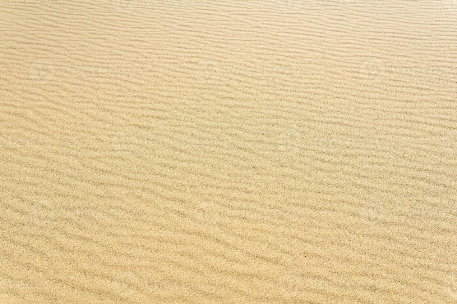 natural background, sandy desert surface with dunes photo