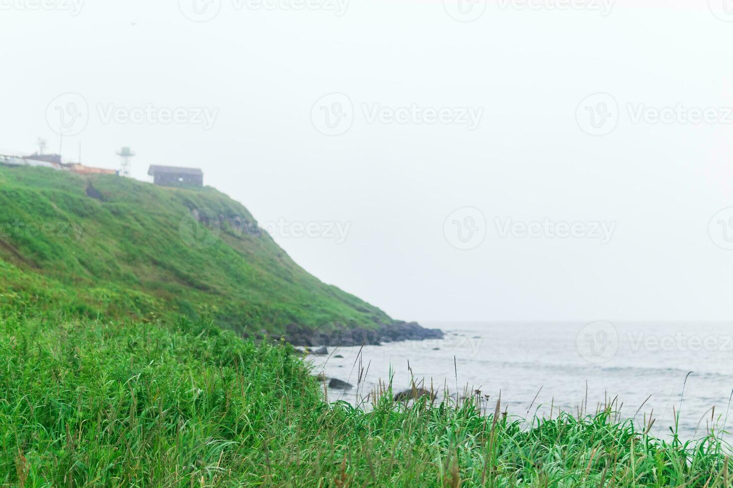 blurred seashore landscape, focus on near grass photo