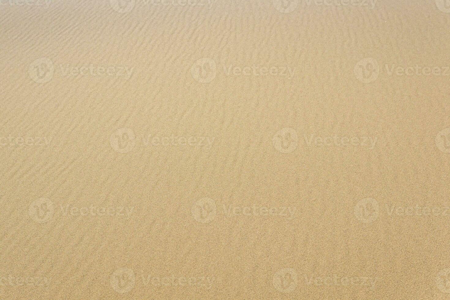 natural background, sandy desert surface with dunes photo