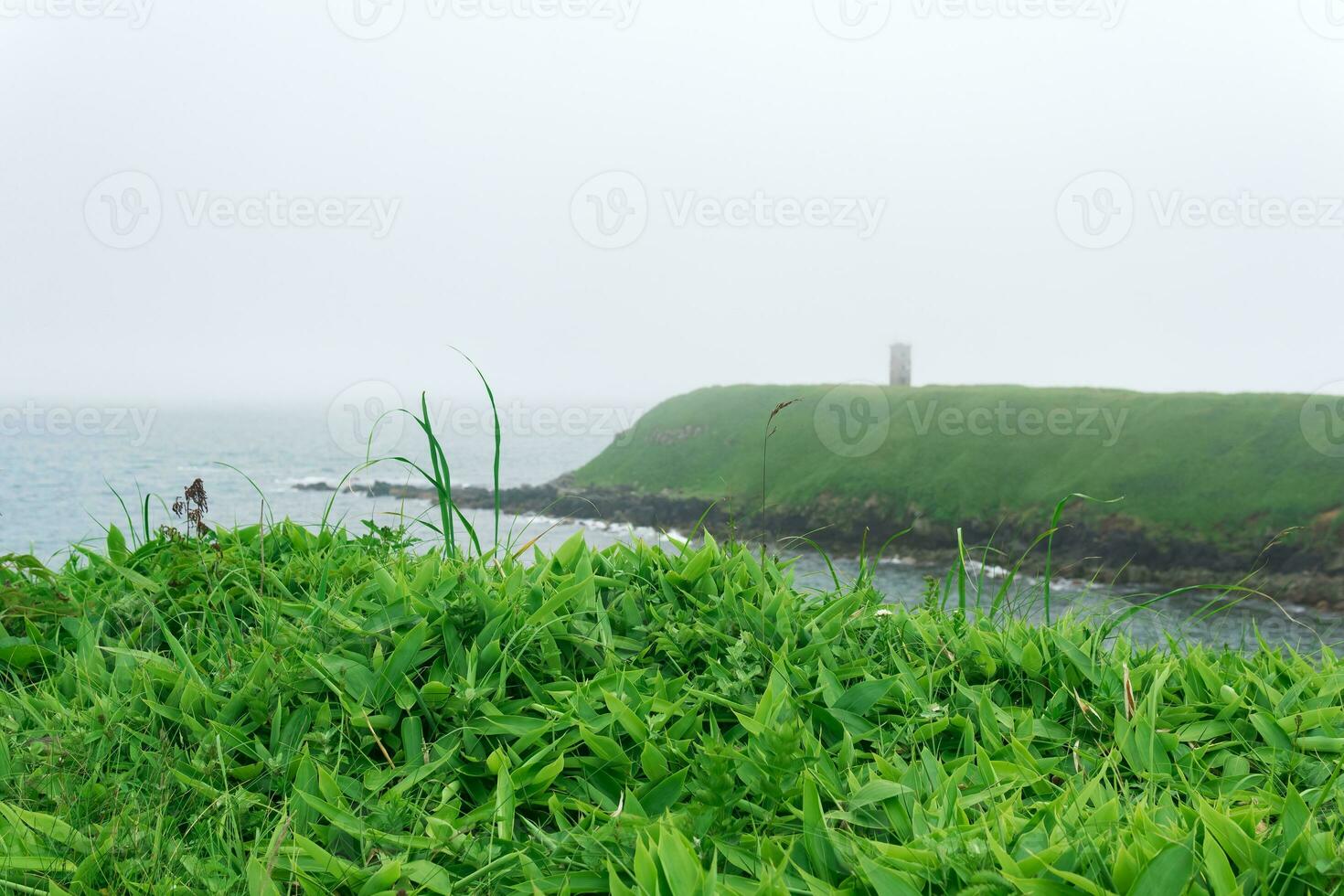 juicy green grass on the seashore against the background of a foggy cape with the ruin of a lighthouse photo