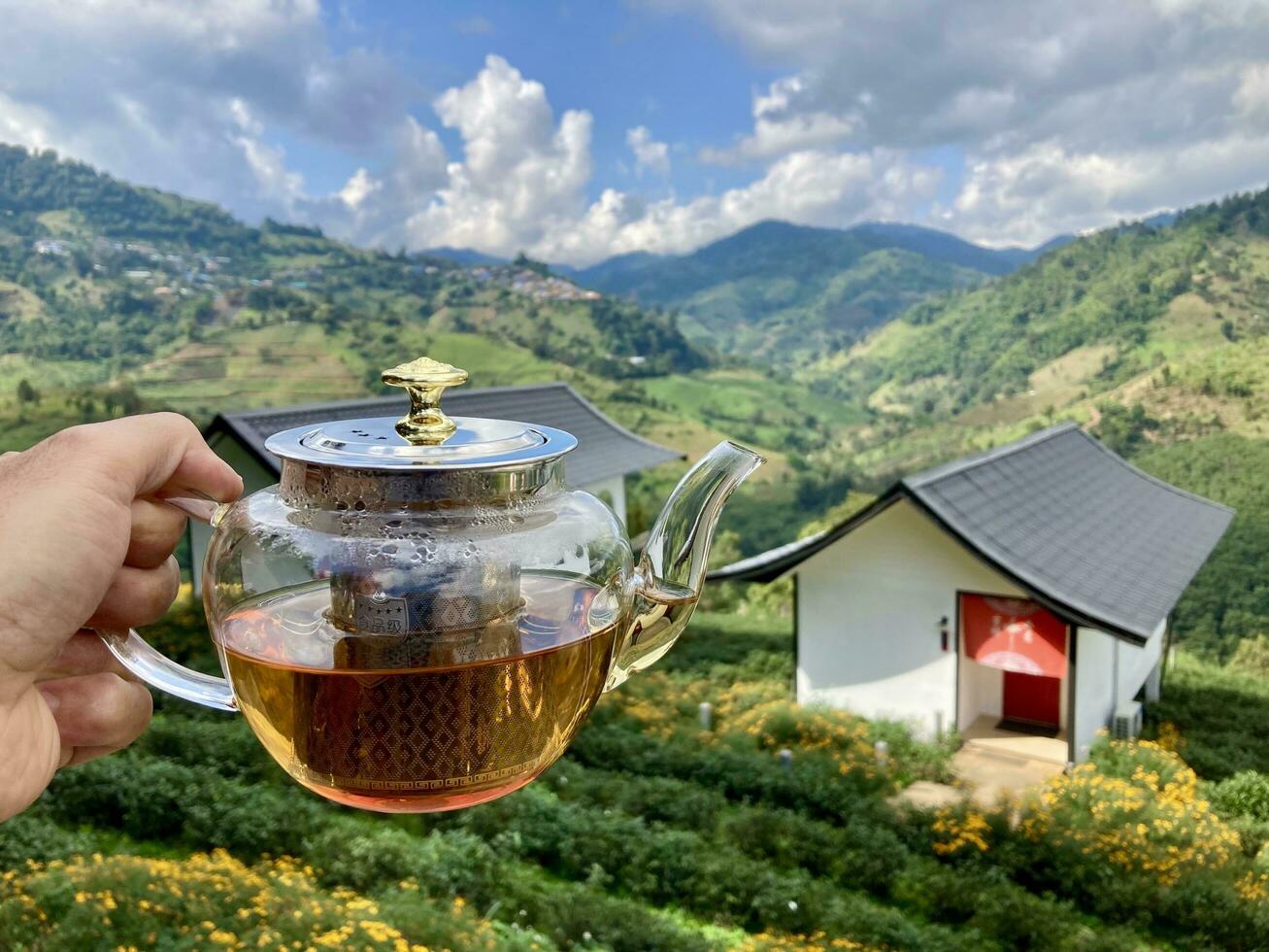 A hand pouring tea from glass teapot on wooden serving tray, hands pouring tea from teapot, Cropped shot of pouring tea in traditional Chinese tea ware photo