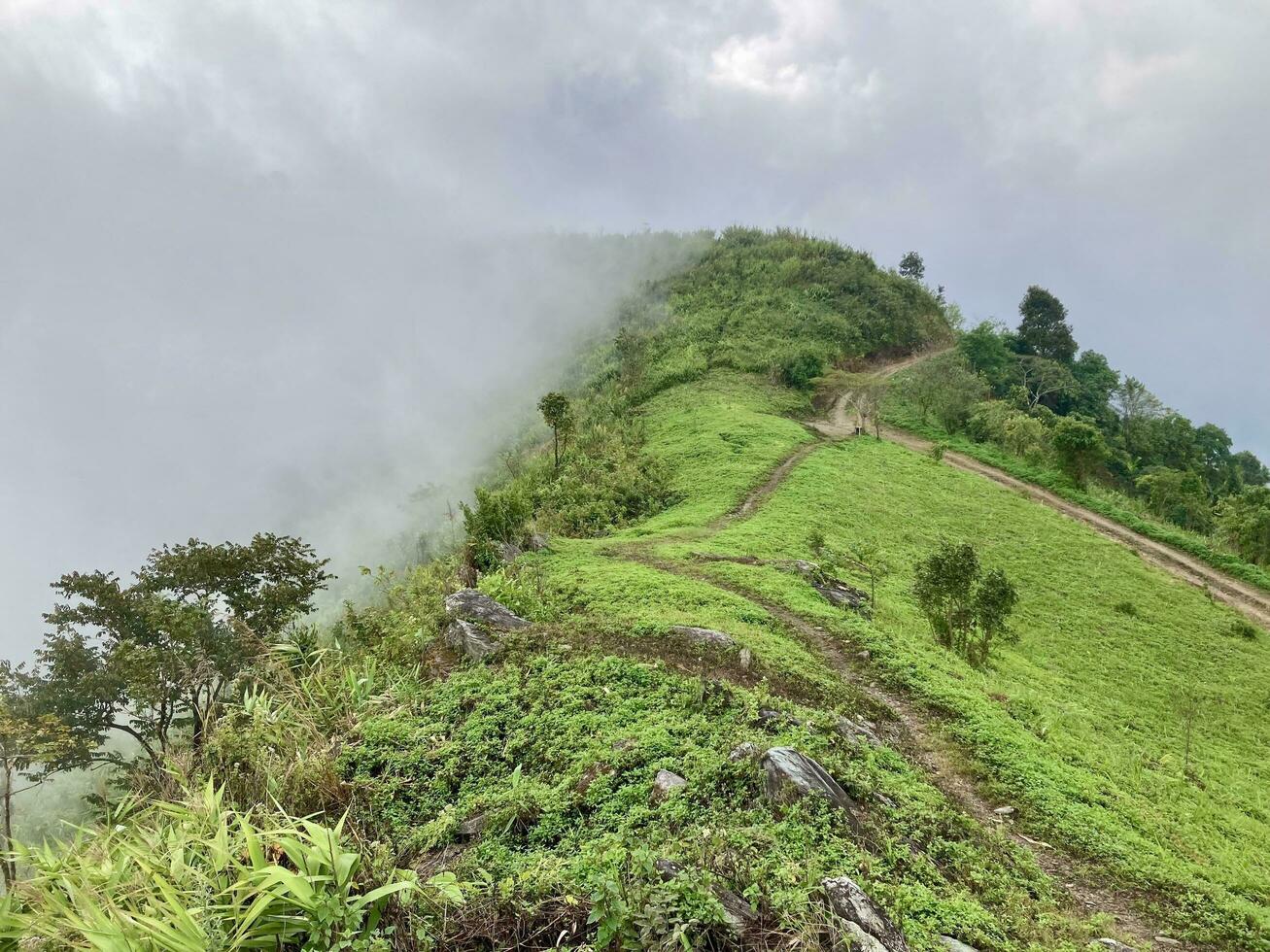 The mist flows through the mountain forest, Sun shining into tropical forest, Mist drifts through mountain ridges in the morning, slow floating fog blowing cover on the top of mountain photo