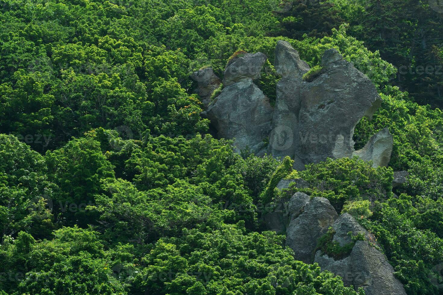 background, landscape - rocks among the mountain broad-leaved forest photo