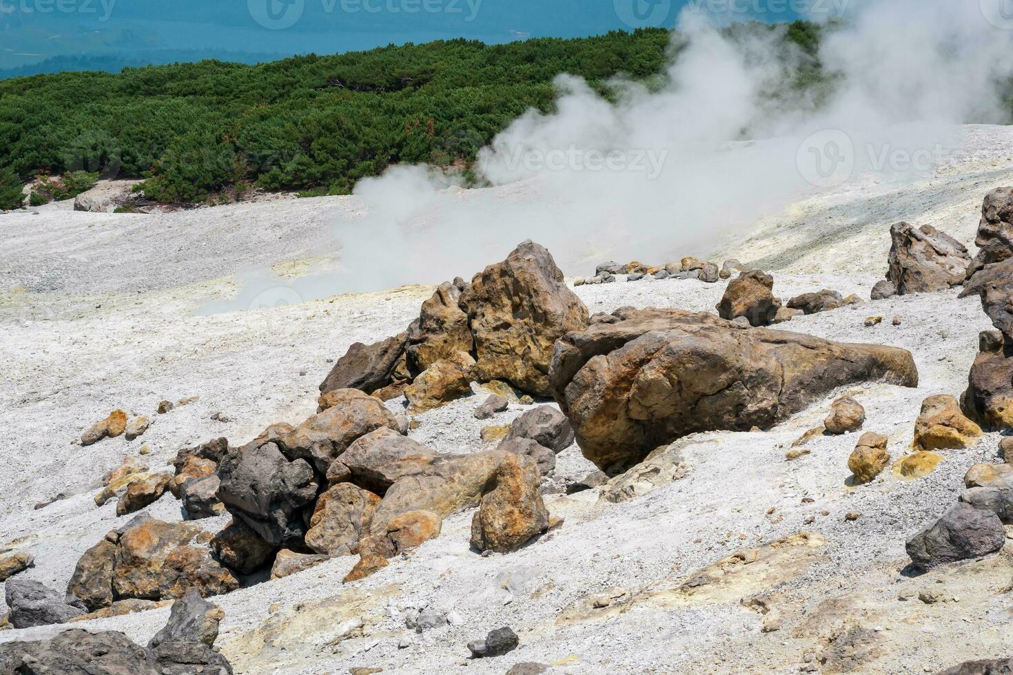 plants among blocks of solidified lava in a fumarole field on the slope of a volcano photo