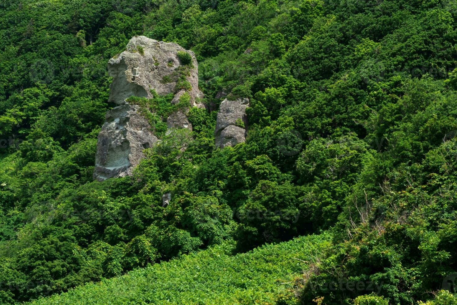 coastal landscape, beautiful lava rocks on the wooded coast of Kunashir island photo