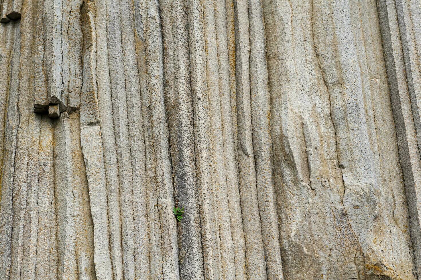 natural background, the surface of the rock, consisting of vertical basalt columns photo