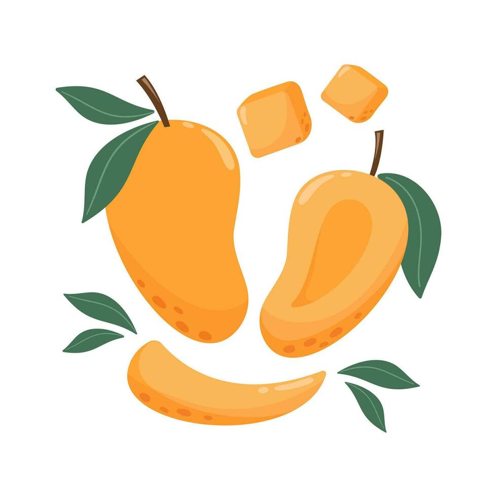 mango composición con hojas. conjunto de dulce entero, rebanada, cubo tropical fruta. verano vitamina vector resumen ilustración para bandera, póster, volantes, social medios de comunicación. dibujos animados plano estilo.