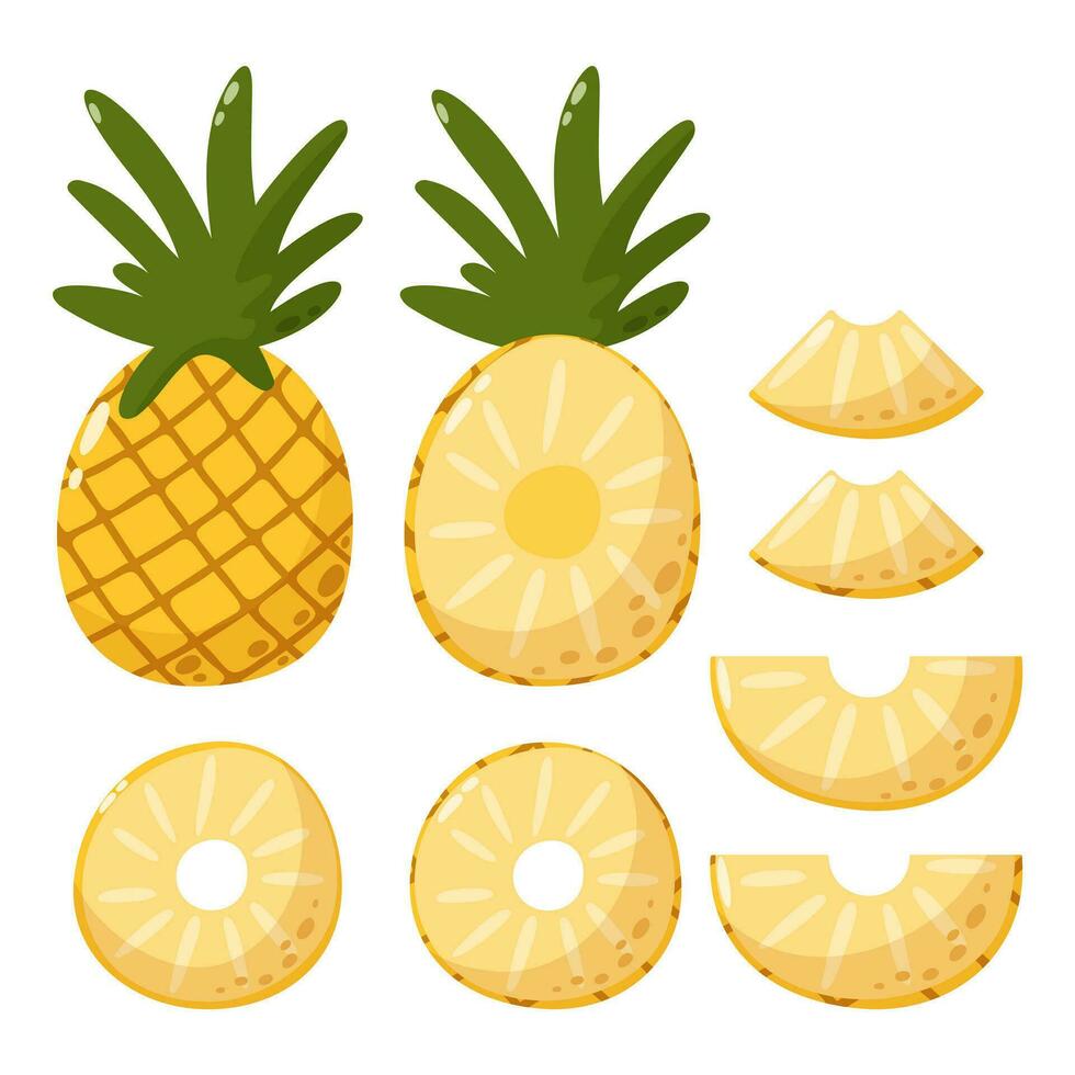 piña colocar, todo y rebanadas, vector ilustración recopilación. estacional frutas, verano vitamina, sano comida concepto. dibujos animados plano estilo