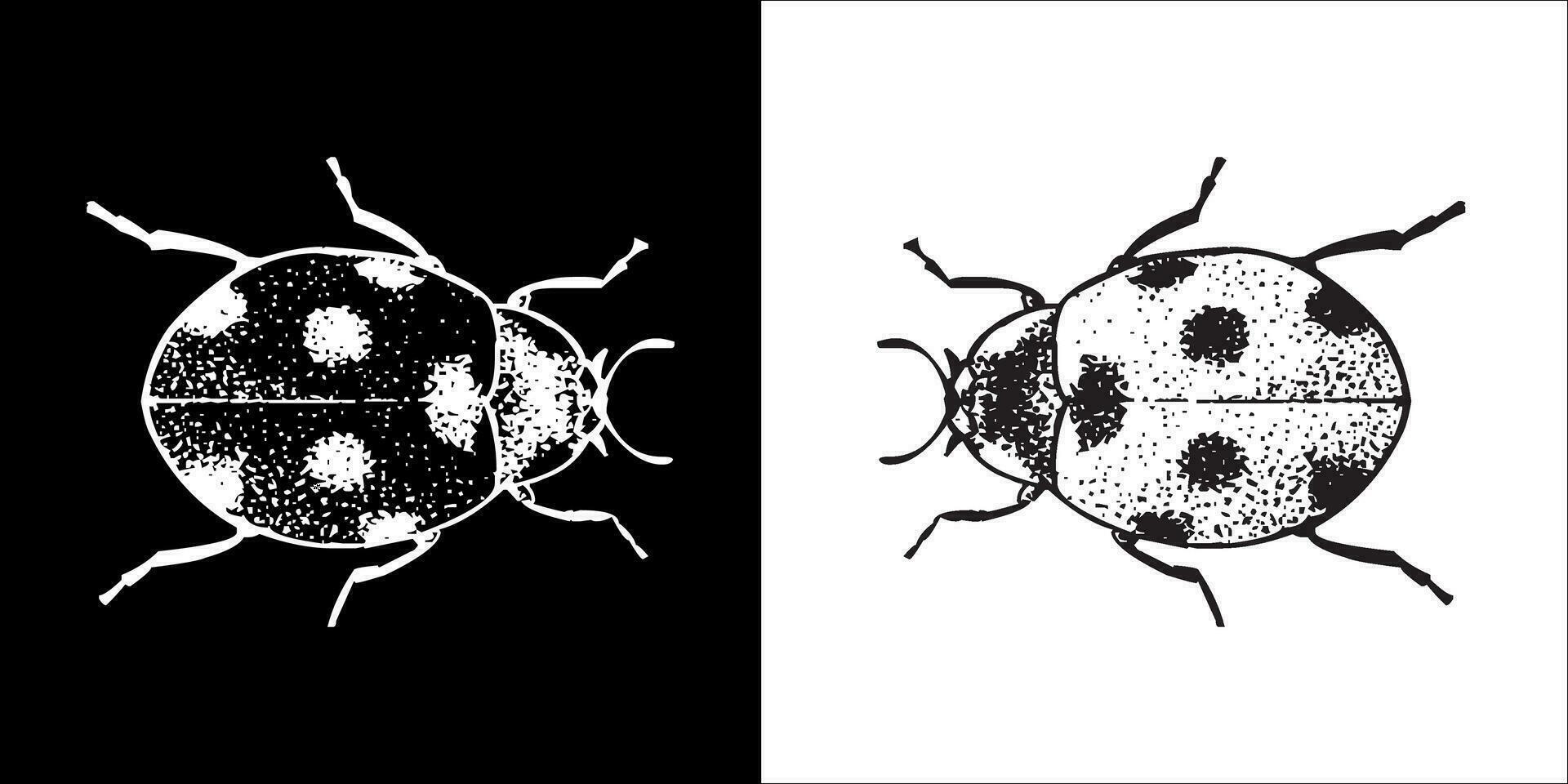 Illustration vector graphics of insect icon