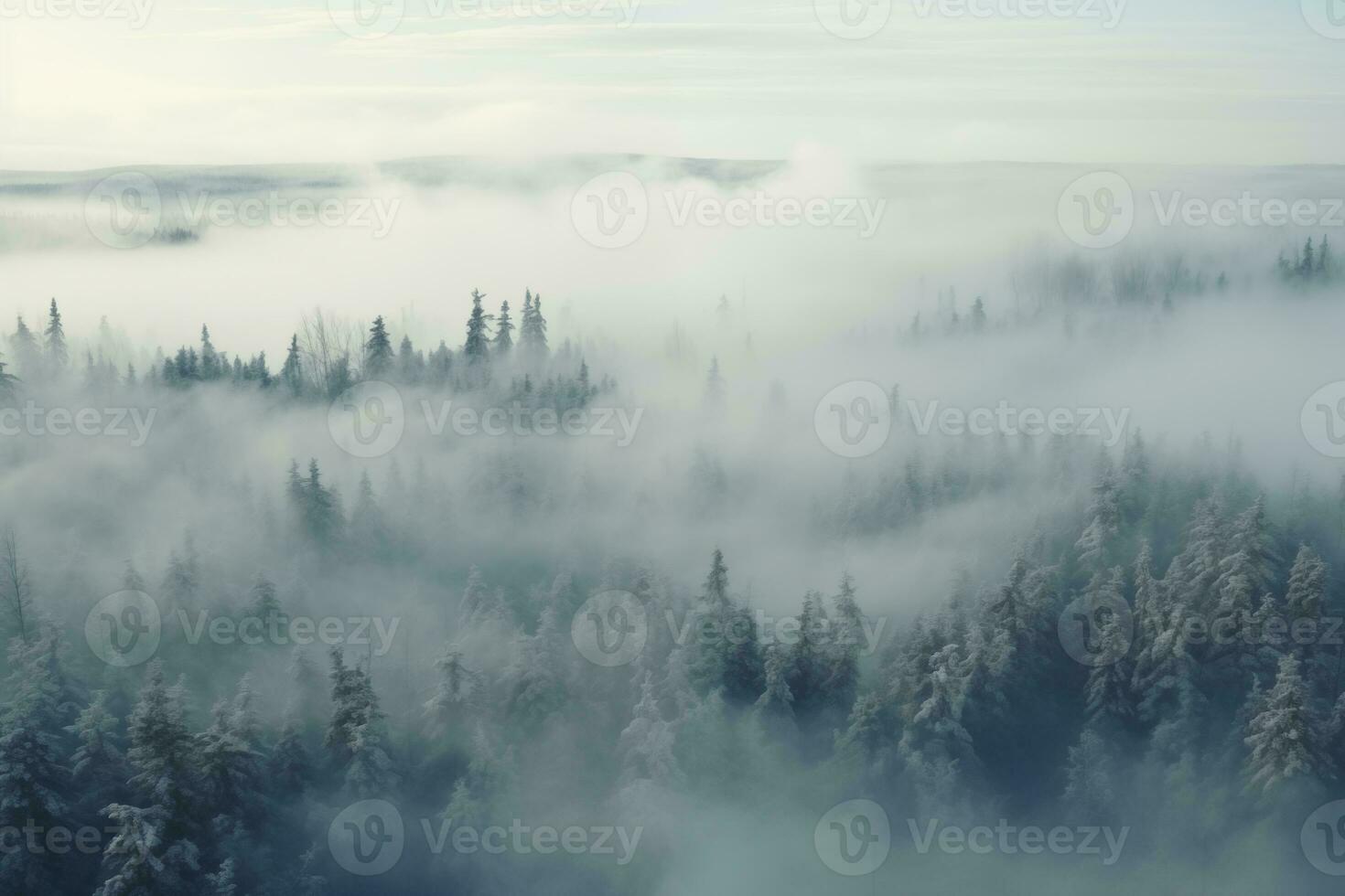 AI generated frosty snowy forest landscape with cold fog, aerial view photo
