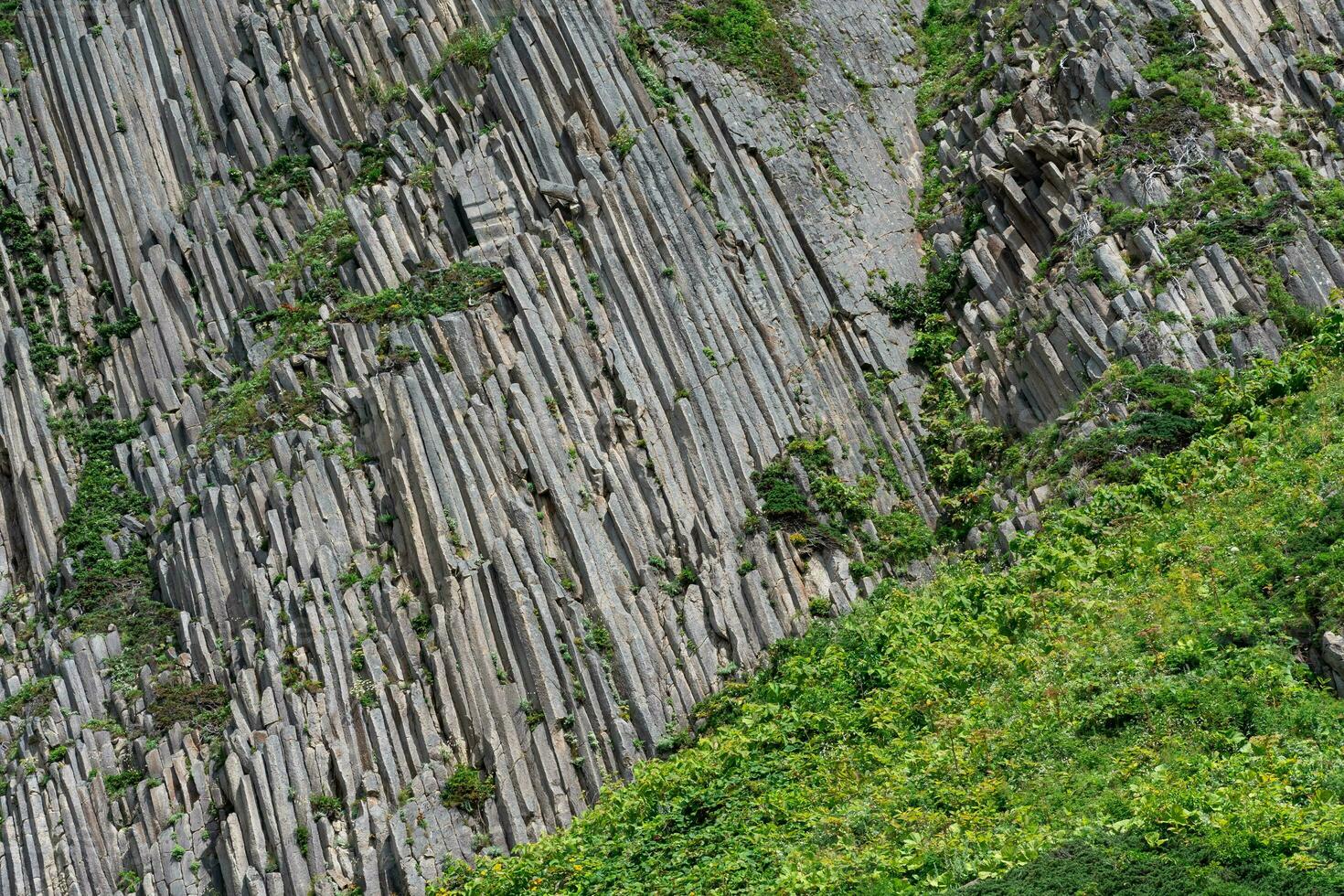 natural background, rock surface formed by vertical basalt columns photo