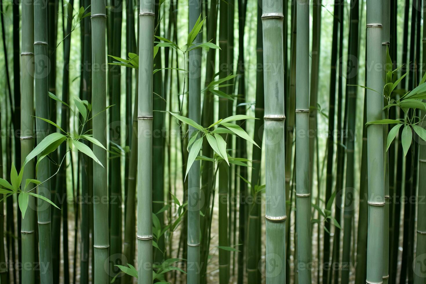 AI generated mountain bamboo forest, foggy background, landscape photo