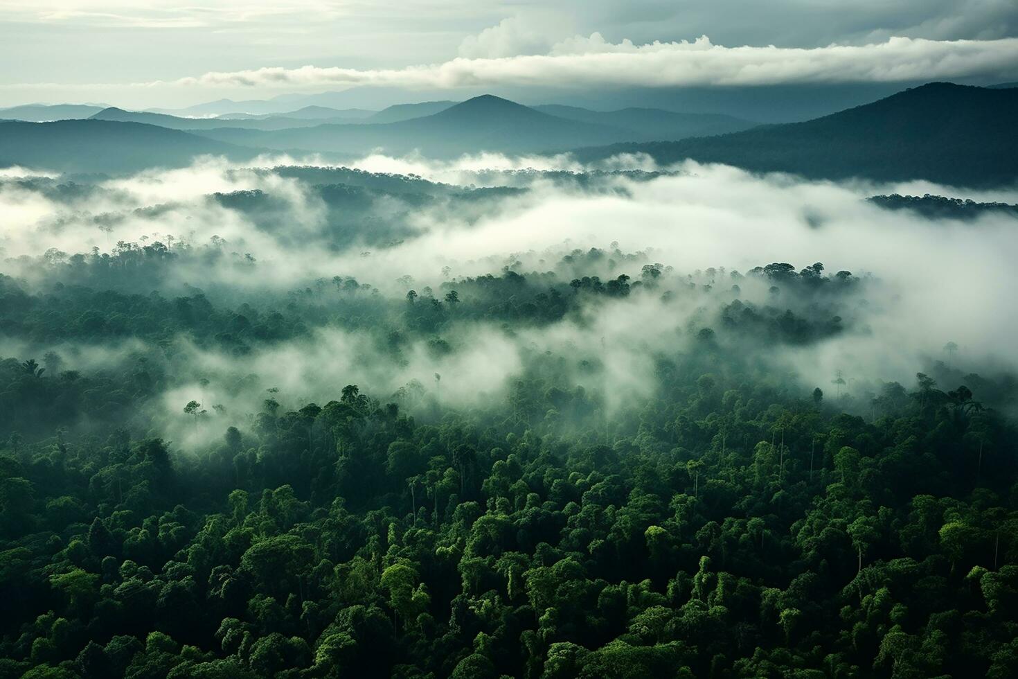AI generated Aerial view of dark green forest with misty clouds. The rich natural ecosystem of rainforest concept of natural forest conservation and reforestation. photo