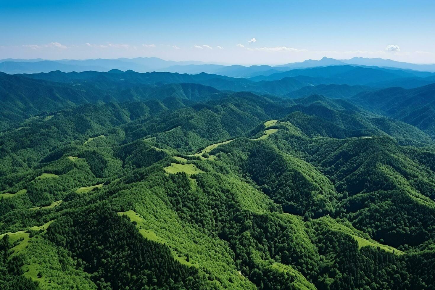 AI generated Mountains in clouds at sunrise in summer. Aerial view of mountain peak with green trees in fog. Beautiful landscape with high rocks, forest, sky. Top view from drone of mountain photo