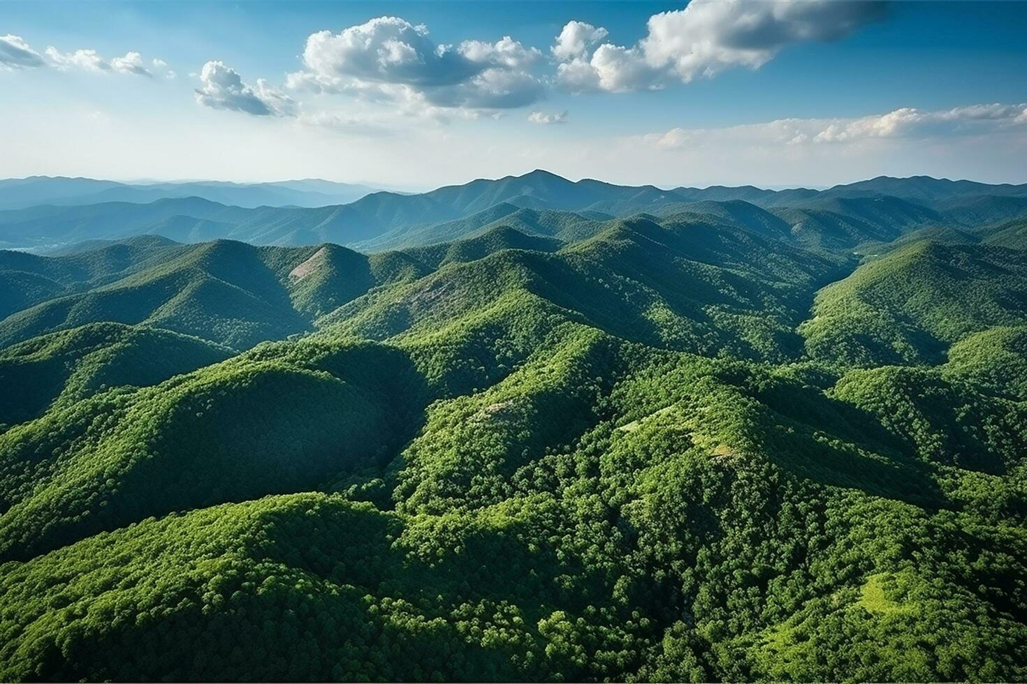 AI generated Mountains in clouds at sunrise in summer. Aerial view of mountain peak with green trees in fog. Beautiful landscape with high rocks, forest, sky. Top view from drone of mountain photo