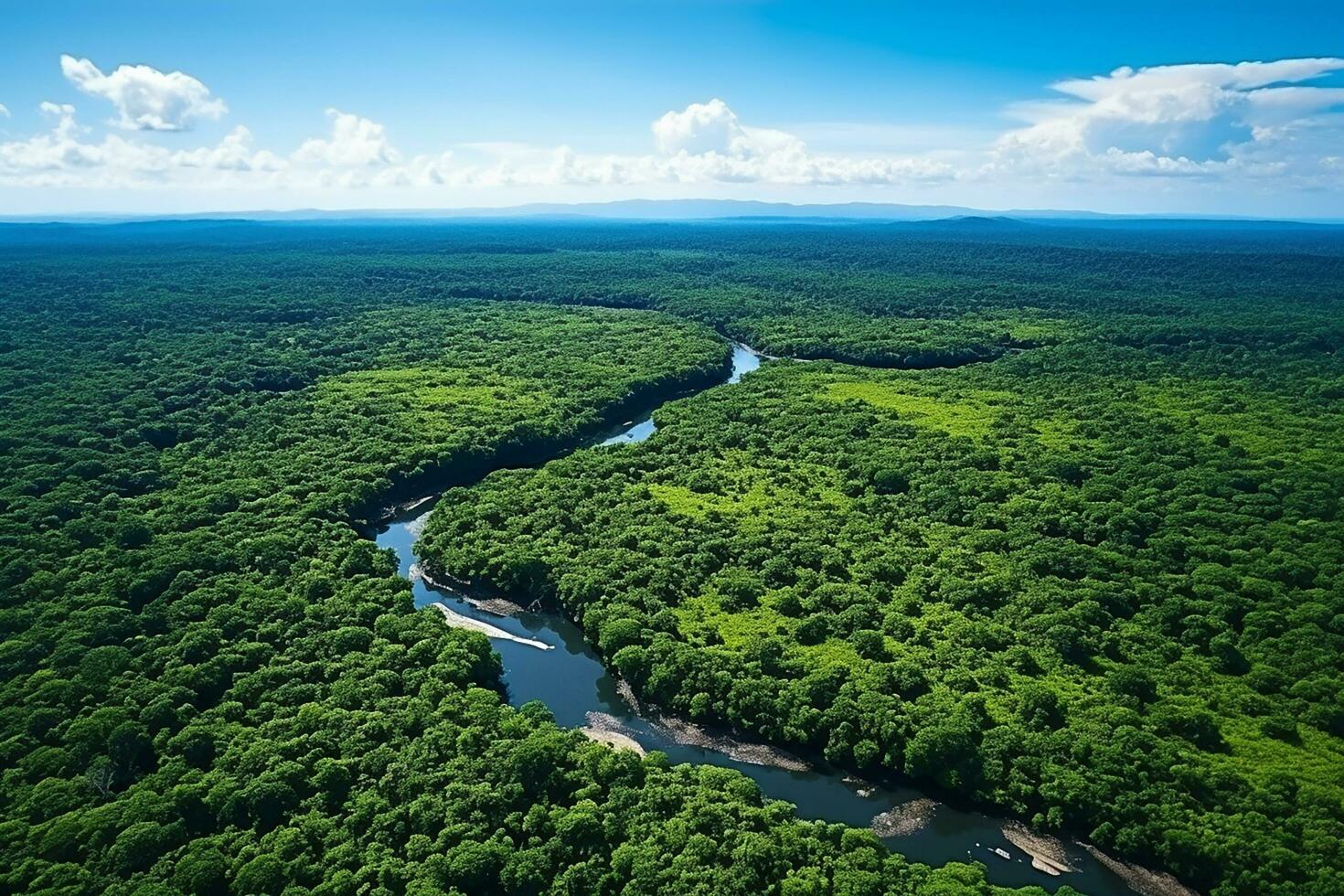 AI generated drone aerial birds eye view of a large green grass forest with tall trees and a big blue bendy river flowing through the forest photo