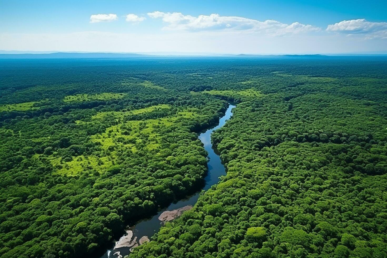 AI generated drone aerial birds eye view of a large green grass forest with tall trees and a big blue bendy river flowing through the forest photo