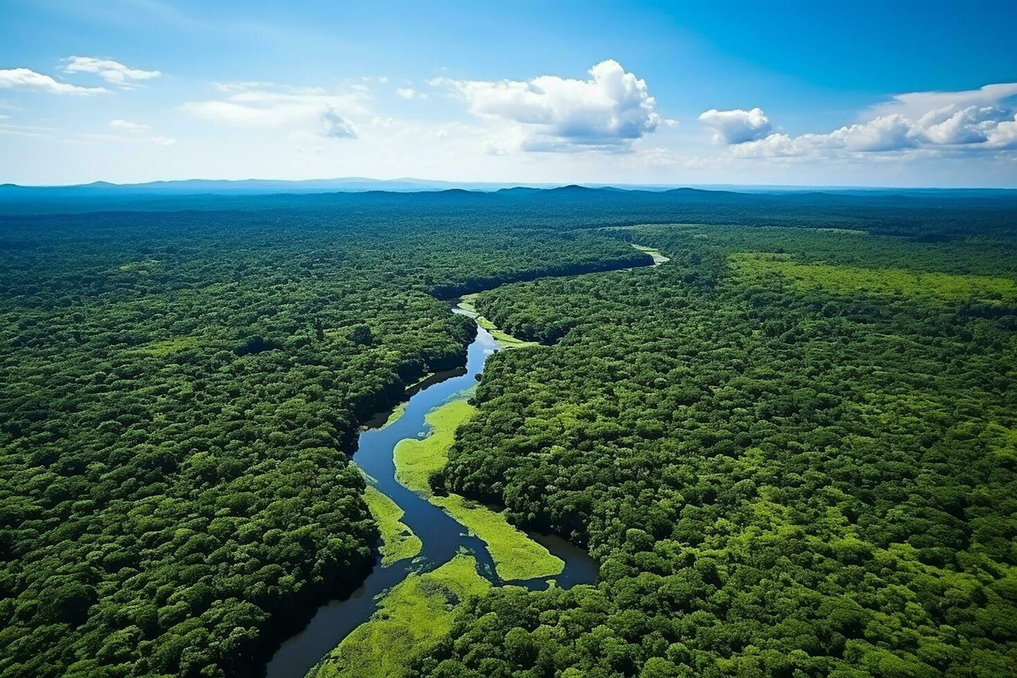 AI generated drone aerial birds eye view of a large green grass forest with tall trees and a big blue bendy river flowing through the forest photo
