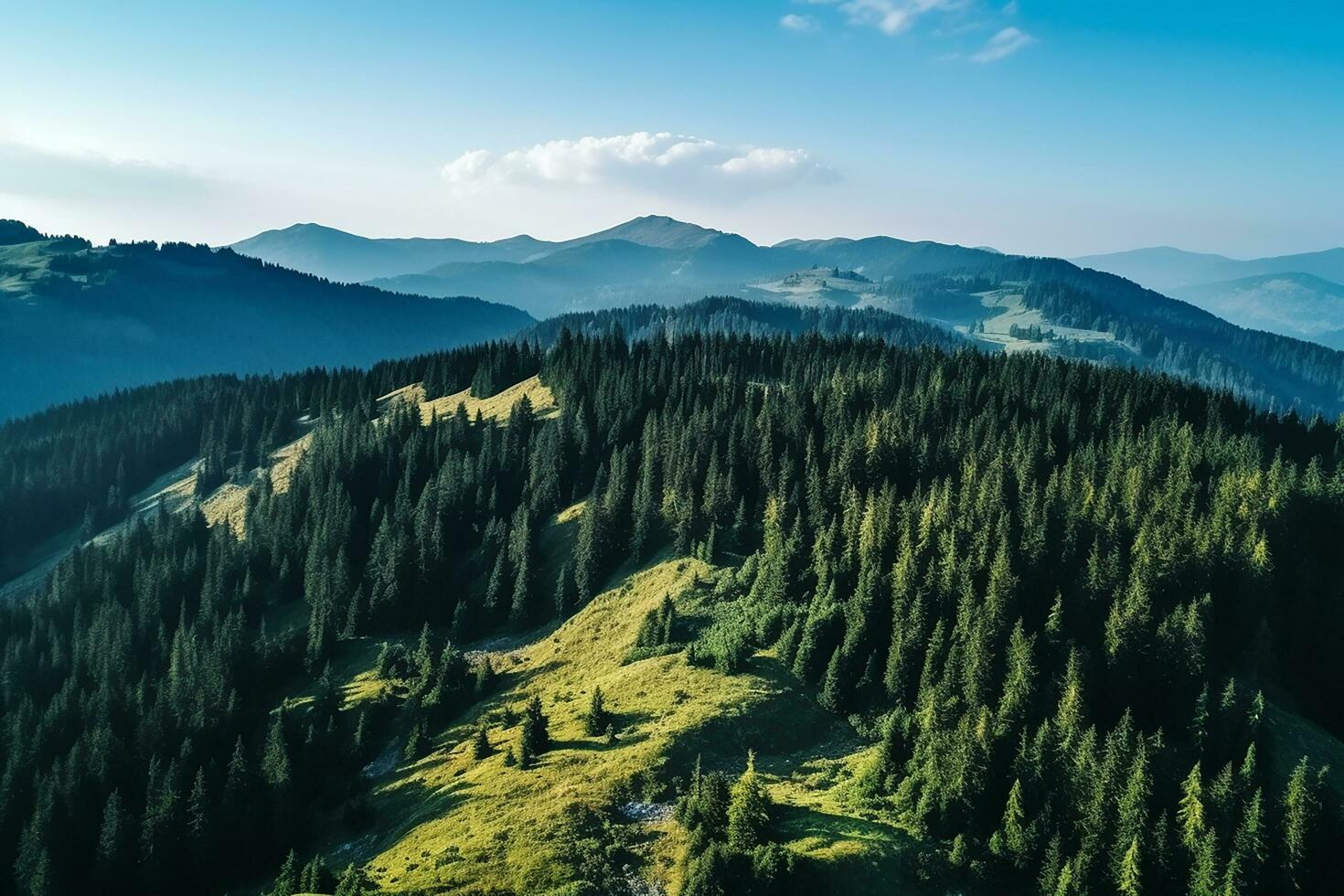 AI generated Aerial top view rural road in the forest, dirt road or mud road and rain forest, Aerial view road in nature, Ecosystem and healthy environment photo