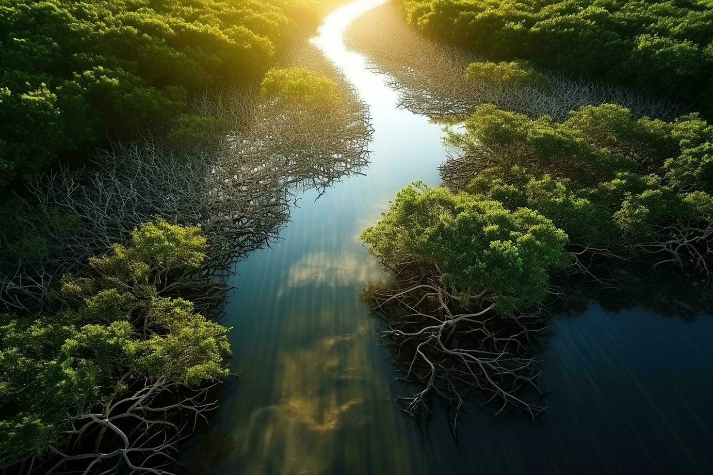 AI generated drone aerial birds eye view of a large green grass forest with tall trees and a big blue bendy river flowing through the forest photo