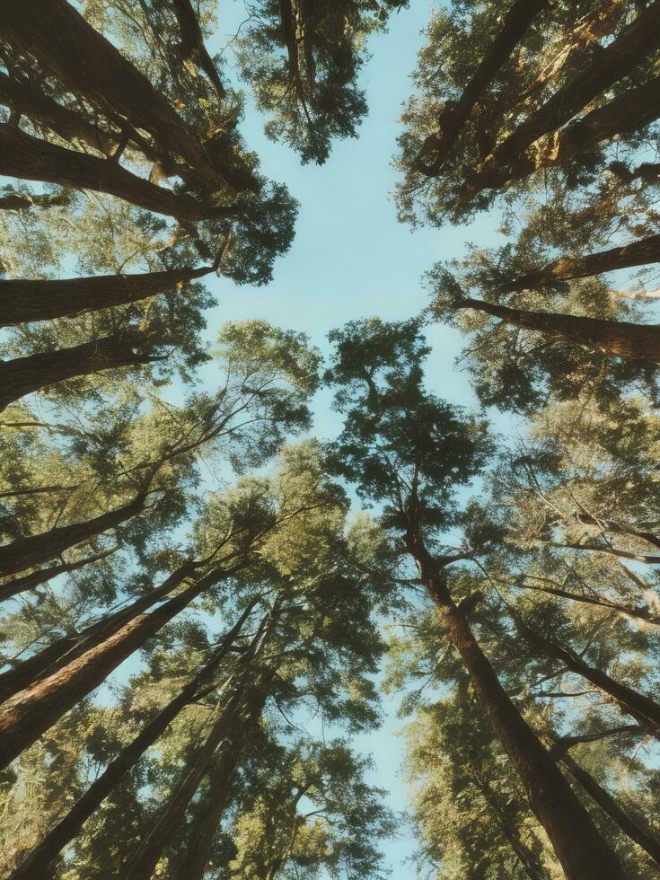 AI generated Capturing Nature's Beauty Stunning Landscape Photography Gallery, Generative Ai photo