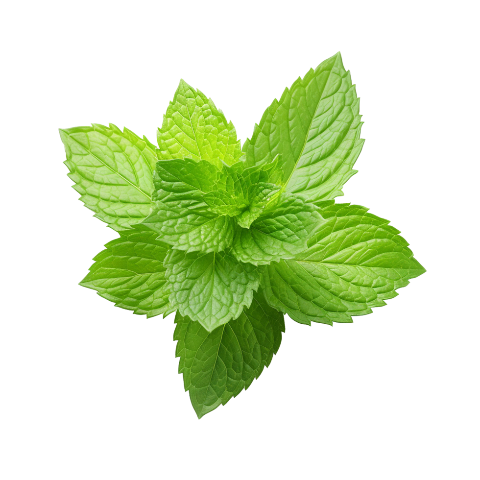 AI generated Mint leaves png isolated on transparent background