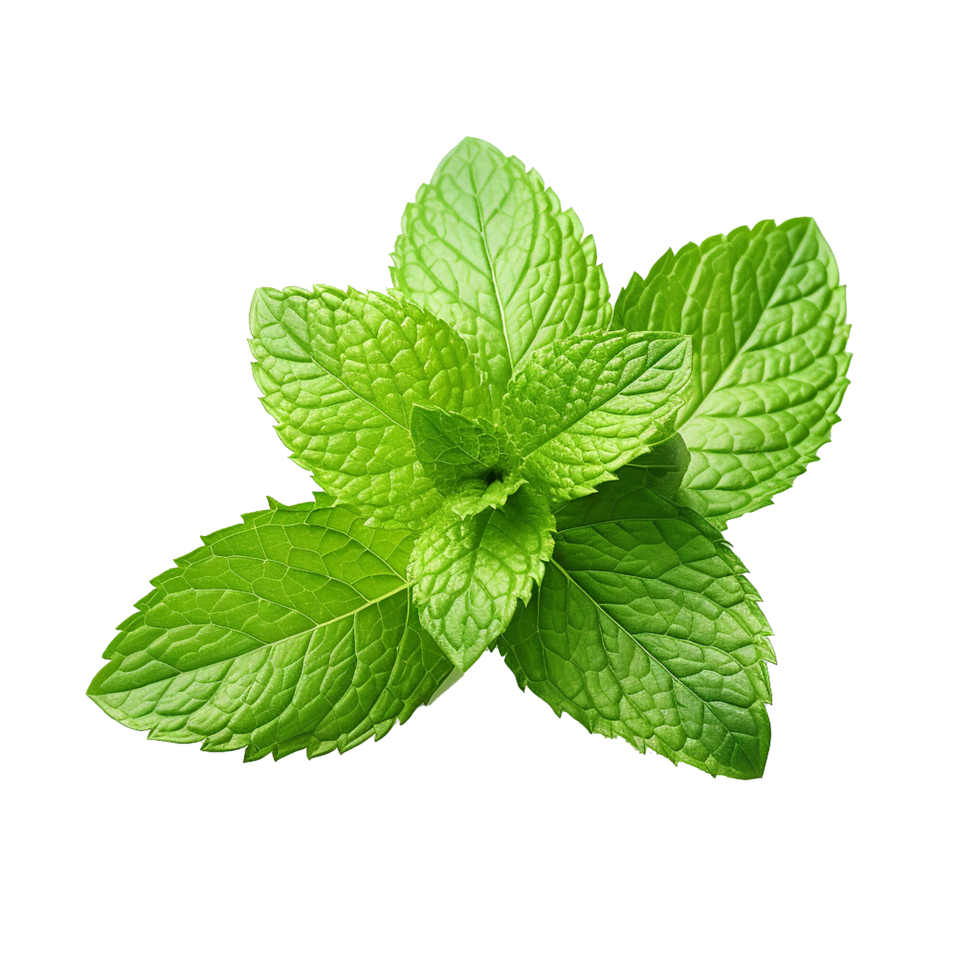AI generated Mint leaves png isolated on transparent background