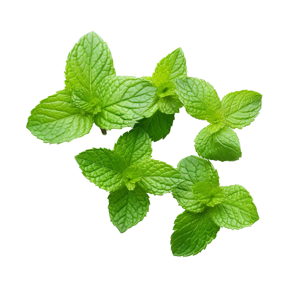 AI generated Mint leaves png isolated on transparent background