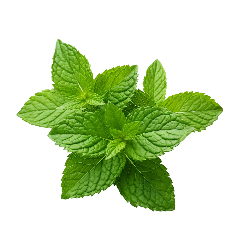 AI generated Mint leaves png isolated on transparent background