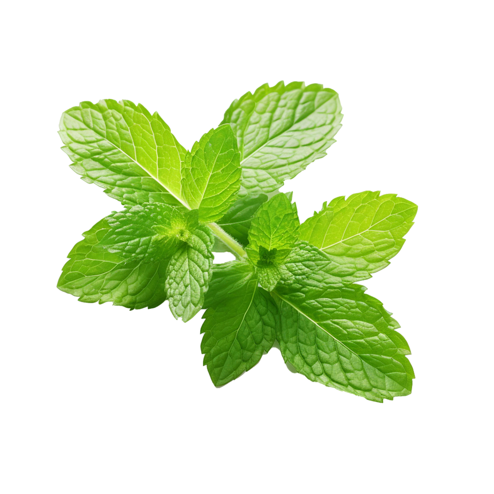 AI generated Mint leaves png isolated on transparent background