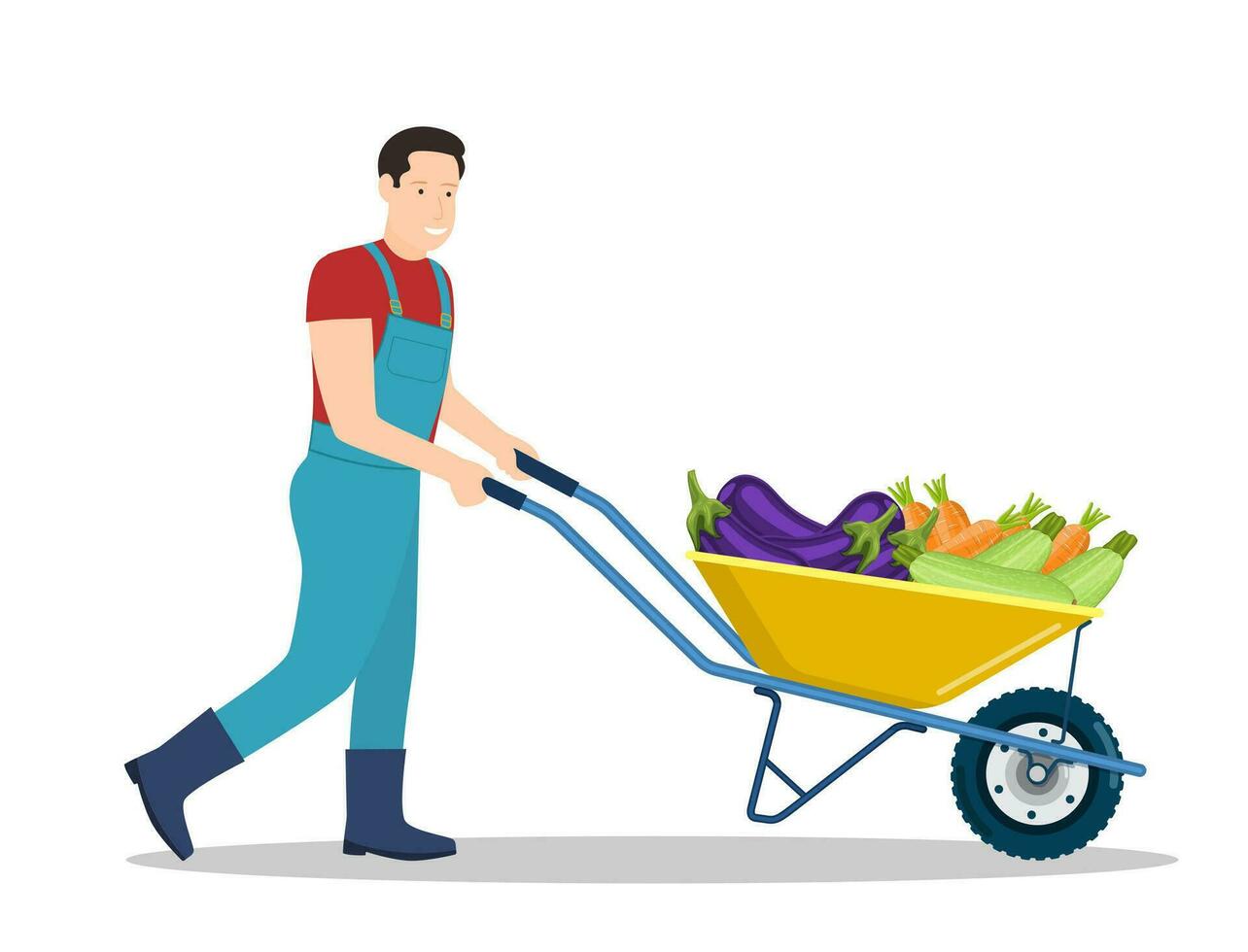 Farming man pushing wheelbarrow with zucchini, eggplant, carrot. Natural and tasty food. Organic farm products. male working on harvesting season. Vector illustration in flat style